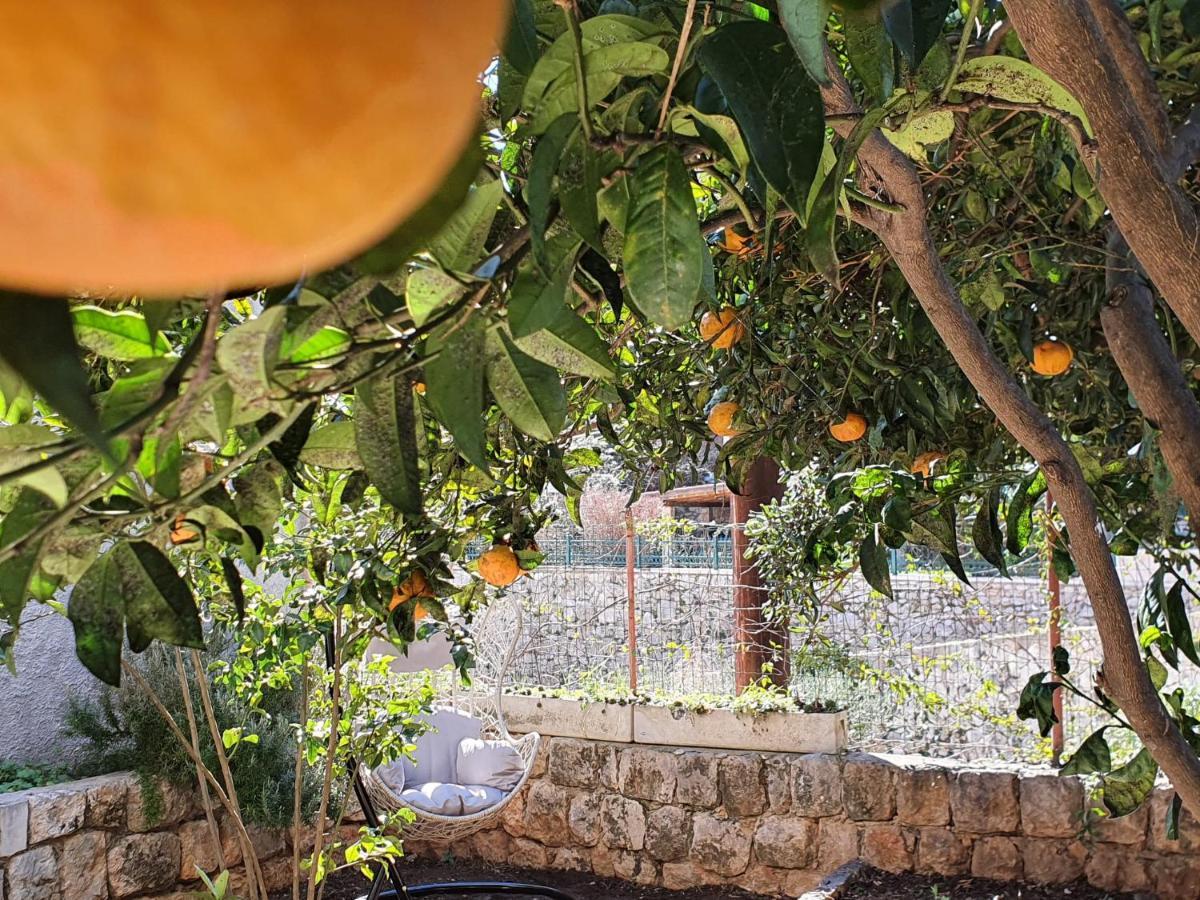 Barbara'S Garden Apartment Dubrovnik Bagian luar foto
